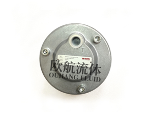 BIERI比利径向柱塞泵BRK501-1